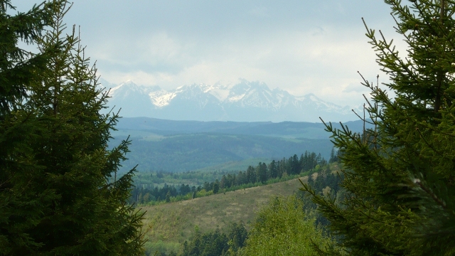 Vysoké Tatry z Patrie